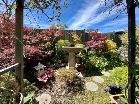 Pergola Into Japanese Style Garden.JPG