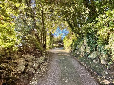 Leafy Driveway.jpg