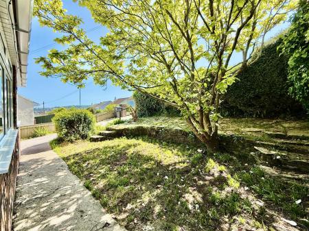 Front Garden.jpeg