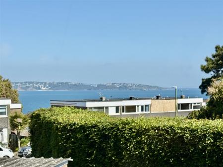 View From.jpg