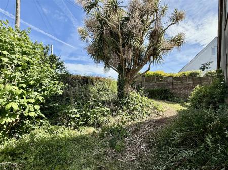 Front Garden.jpeg