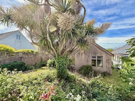 Front  Garden.jpeg
