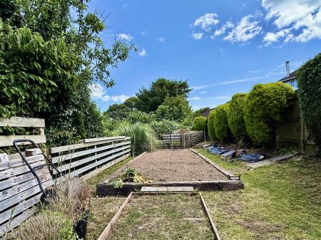 Vegetable Garden.jpg