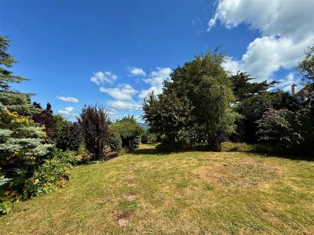 Rear Lawn.JPG