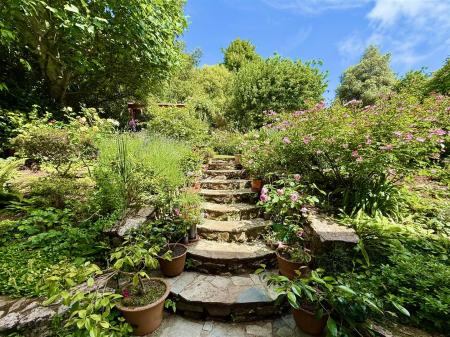 Path From Kitchen.jpg