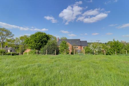 Rear Elevation