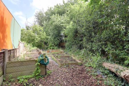 Fruit/Veg Garden