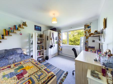 CAM00470P1-PR0038-ST