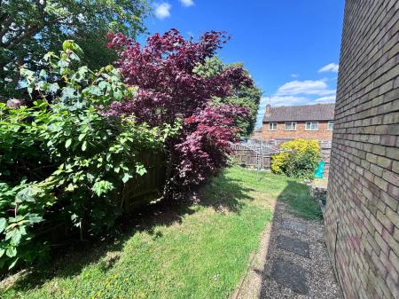 image5