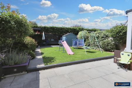 Media image 19