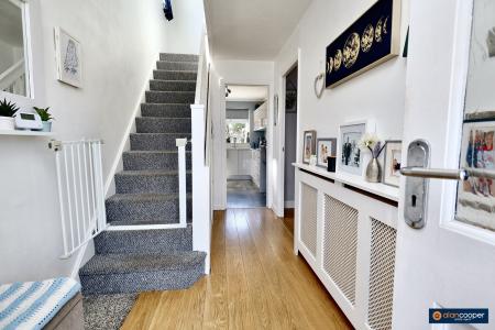 Media image 12