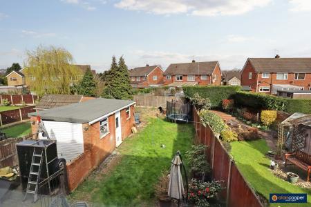 Media image 17
