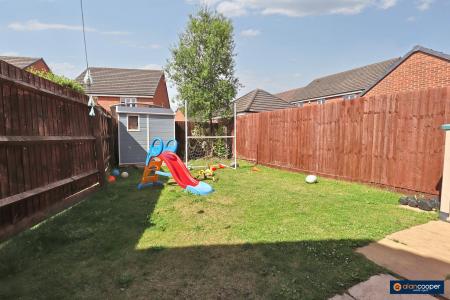 Media image 17