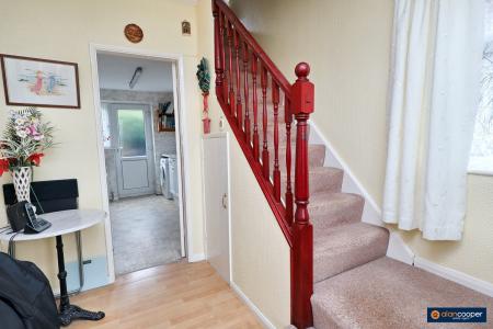 Media image 07