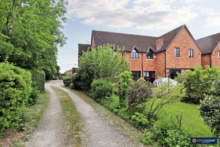 Media image 26