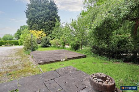 Media image 24