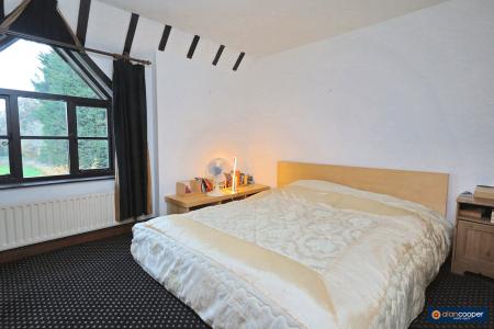 Media image 12