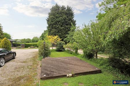 Media image 22