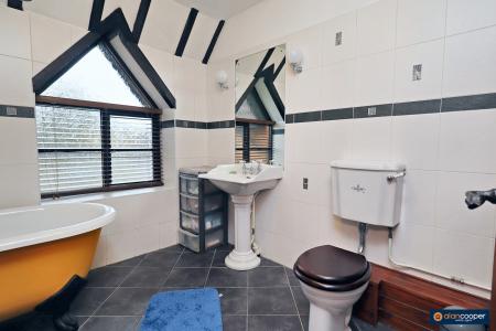 Media image 13