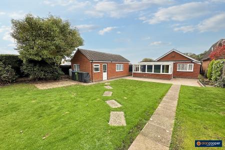 Media image 27