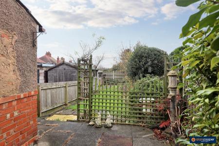 Media image 17