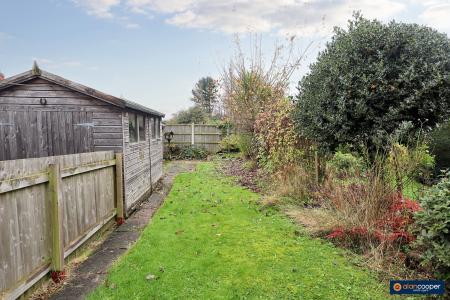 Media image 18