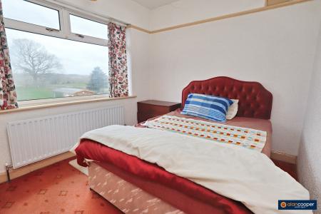 Media image 10