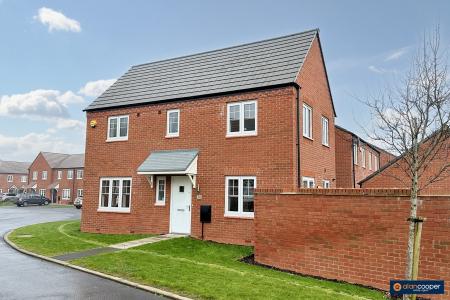 Media image 17