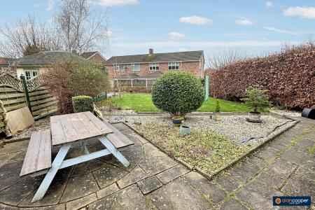 Media image 23