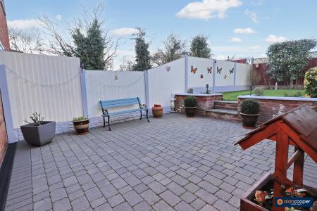 Media image 17
