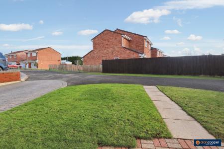 Media image 20