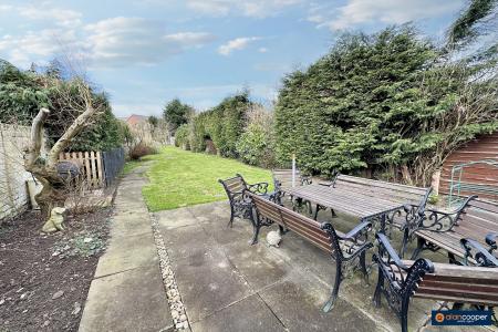 Media image 11