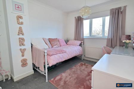 Media image 15