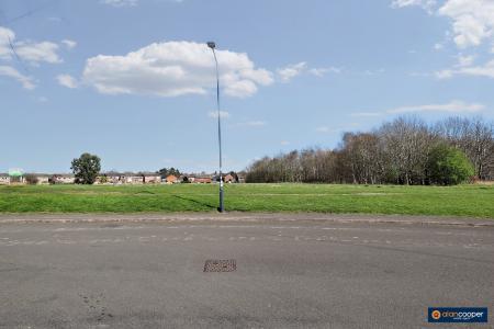 Media image 25