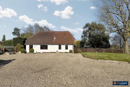 Media image 37