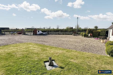 Media image 39