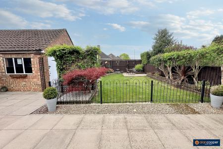 Media image 18