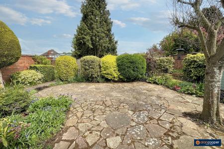 Media image 25
