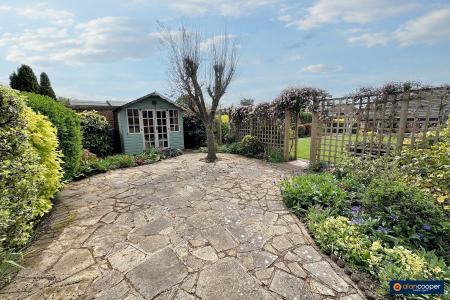 Media image 26