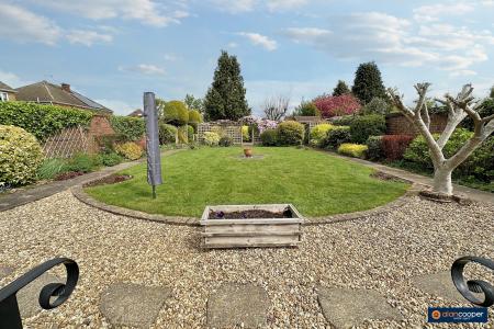 Media image 20