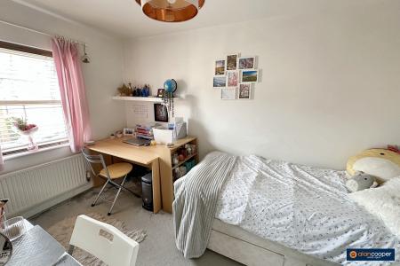 Media image 12