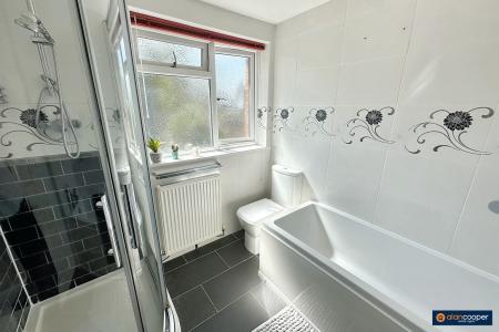 Media image 13