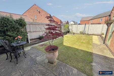 Media image 13