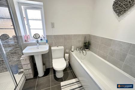 Media image 12