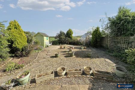 Media image 13