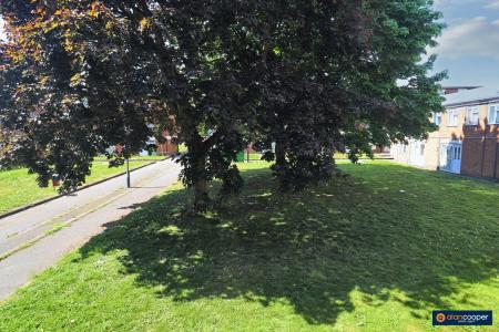 Media image 08