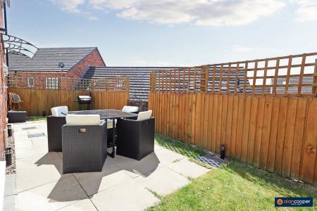 Media image 24