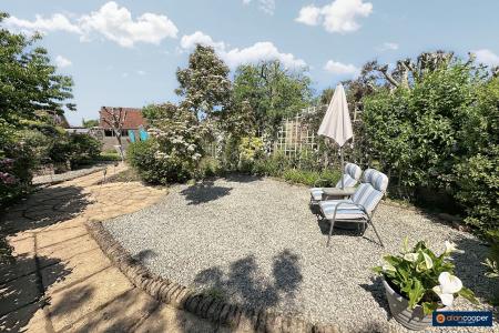Media image 15