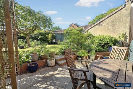 Media image 24