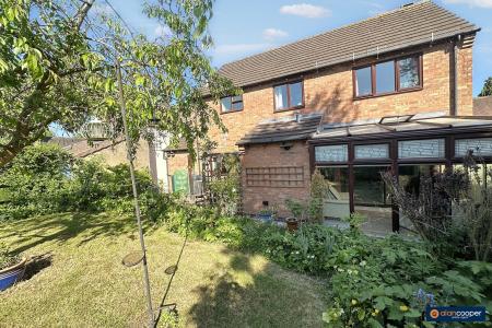 Media image 27
